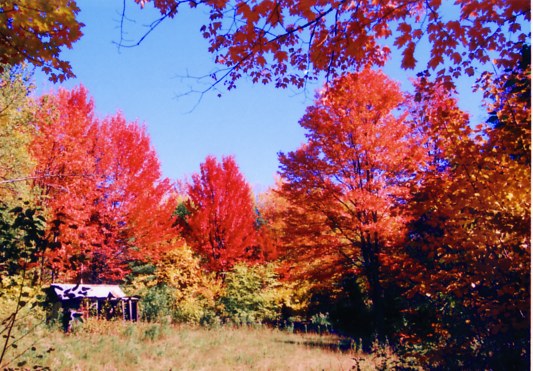 Indian Summer in Kanada