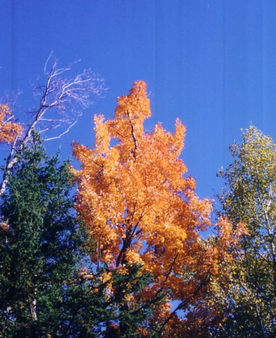 Indian Summer in Kanada