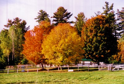 Indian Summer in Kanada