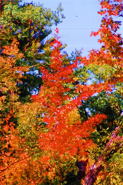 Indian Summer in Kanada