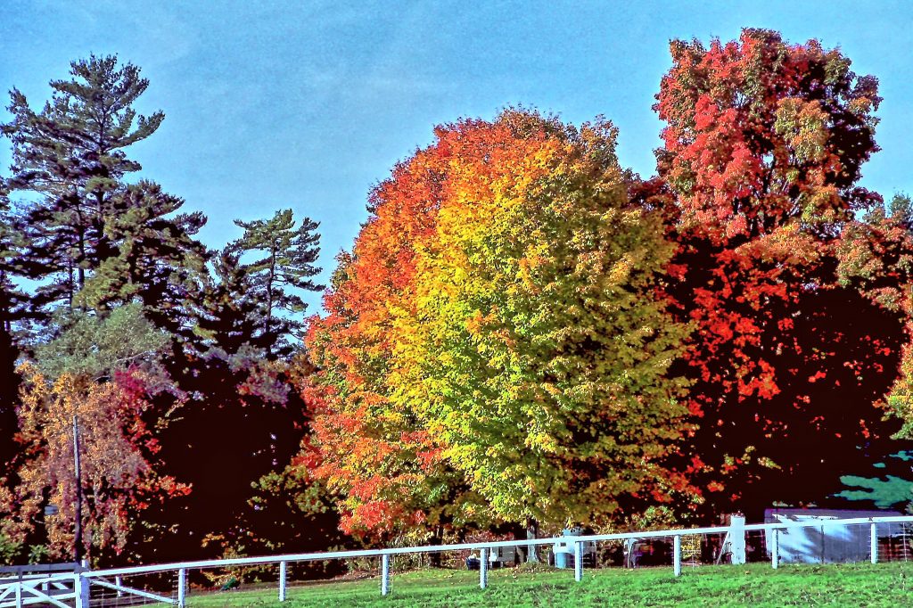 Indian Summer in Kanada