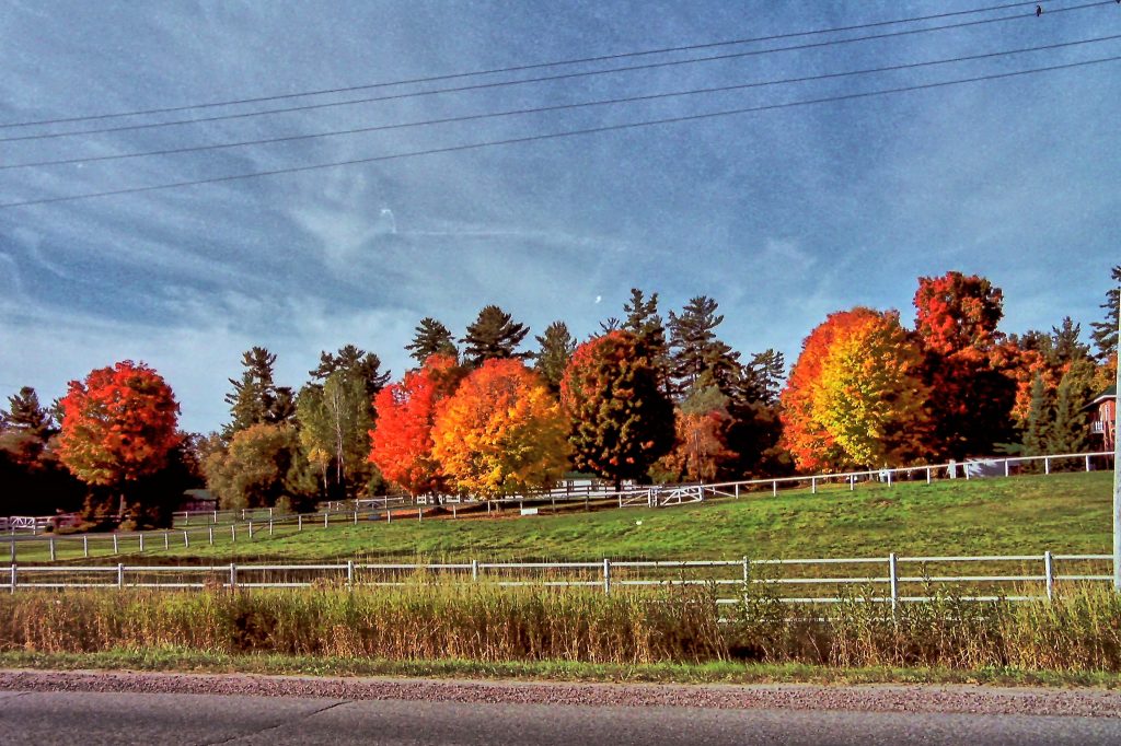 Indian Summer in Kanada