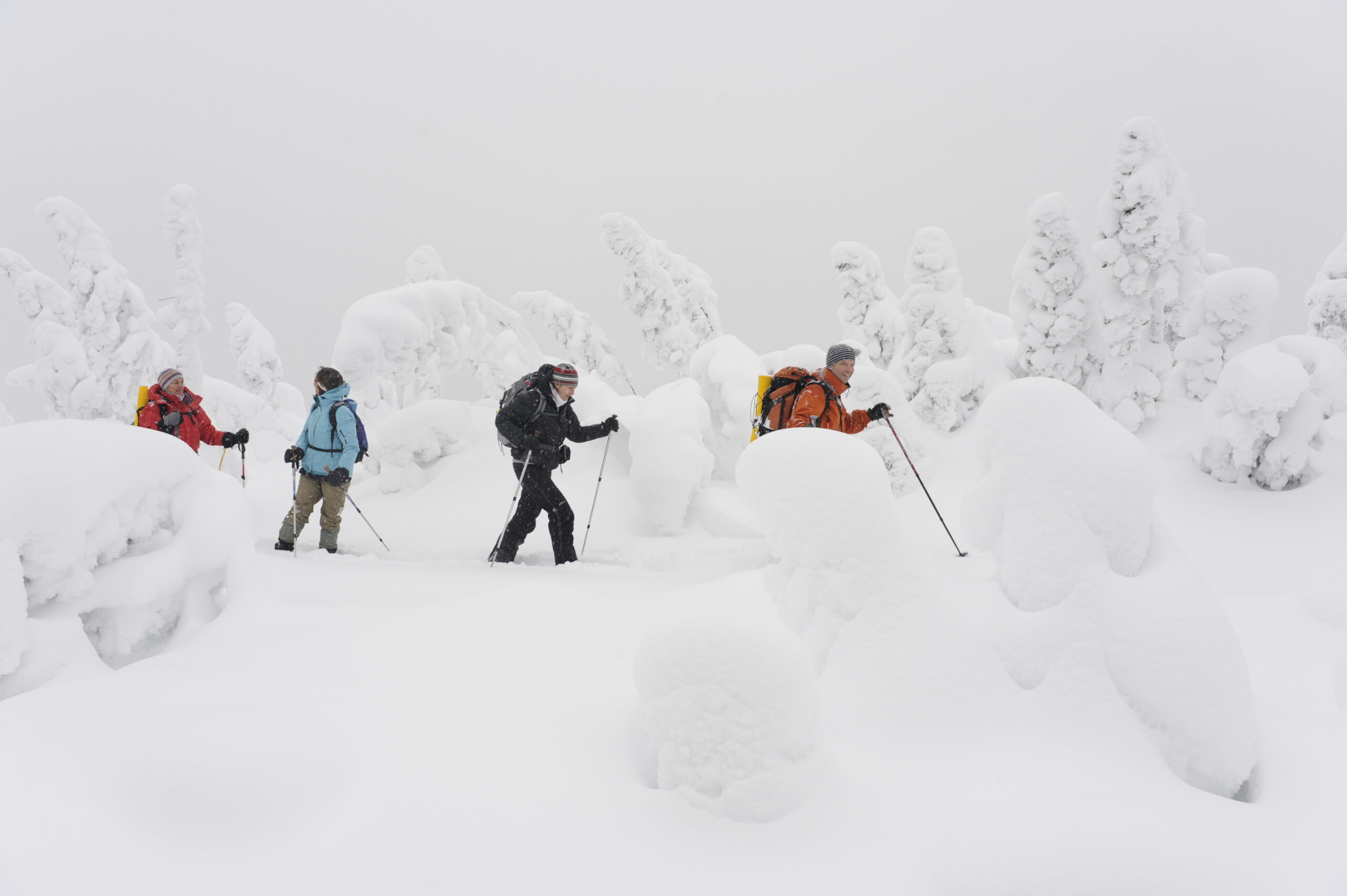 Winter Sports in Canada - Gaspésie National Park