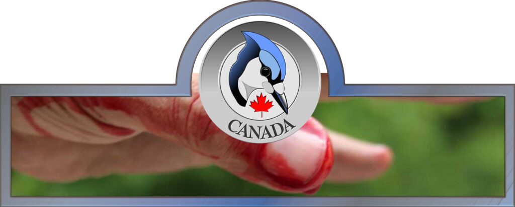 Medical care in Canada - Emergency Canada